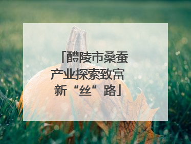 醴陵市桑蚕产业探索致富新“丝”路
