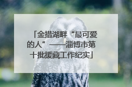金措湖畔“最可爱的人”——淄博市第十批援藏工作纪实