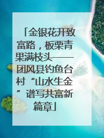 金银花开致富路，板栗青果满枝头——团风县钓鱼台村“山水生金”谱写共富新篇章