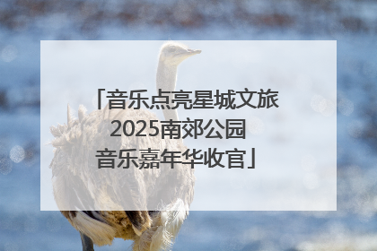 音乐点亮星城文旅 2025南郊公园音乐嘉年华收官