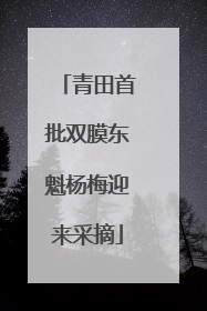 青田首批双膜东魁杨梅迎来采摘