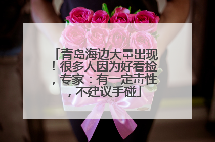 青岛海边大量出现！很多人因为好看捡，专家：有一定毒性，不建议手碰