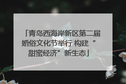 青岛西海岸新区第二届婚俗文化节举行 构建“甜蜜经济”新生态