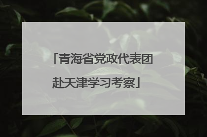 青海省党政代表团赴天津学习考察