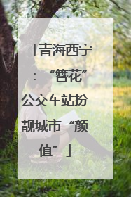 青海西宁：“簪花”公交车站扮靓城市“颜值”