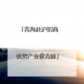 青海赴沪招商 优势产业获青睐