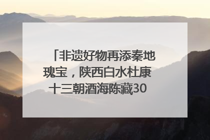 非遗好物再添秦地瑰宝，陕西白水杜康十三朝酒海陈藏30年别具一格