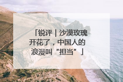 锐评｜沙漠玫瑰开花了，中国人的浪漫叫“担当”