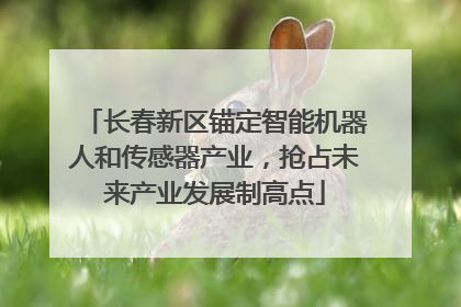 长春新区锚定智能机器人和传感器产业，抢占未来产业发展制高点