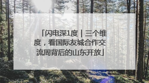 闪电深1度｜三个维度，看国际友城合作交流周背后的山东开放