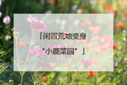 闲置荒地变身“小鹿菜园”