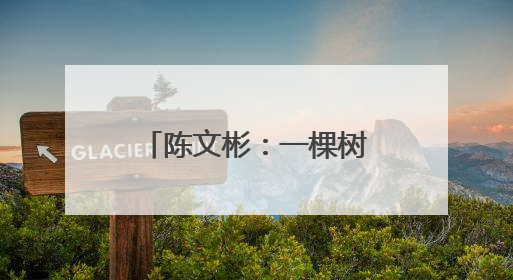 陈文彬：一棵树 一个庄 一块碑 一位英雄
