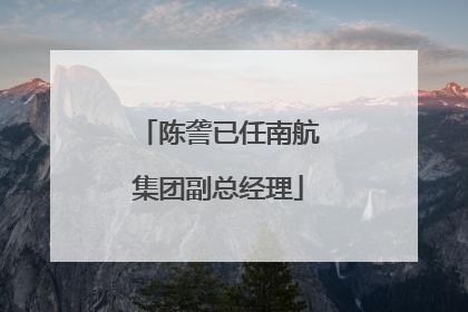 陈詟已任南航集团副总经理