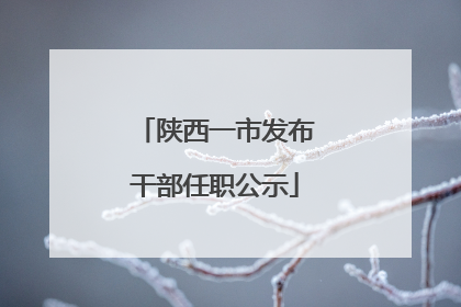 陕西一市发布干部任职公示