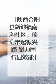 陕西合阳县新池镇南沟社区：葡萄串起振兴路 聚力同行显效能