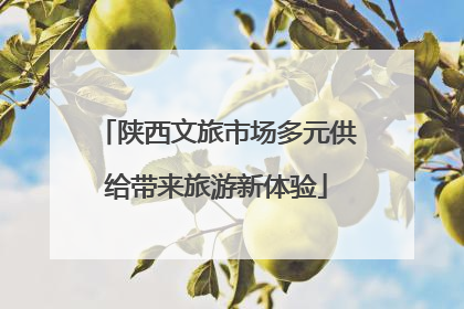 陕西文旅市场多元供给带来旅游新体验