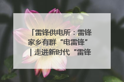 雷锋供电所：雷锋家乡有群“电雷锋”｜走进新时代“雷锋传人 长沙榜样”