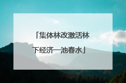 集体林改激活林下经济一池春水