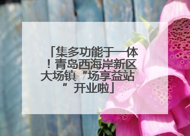 集多功能于一体！青岛西海岸新区大场镇“场享益站”开业啦