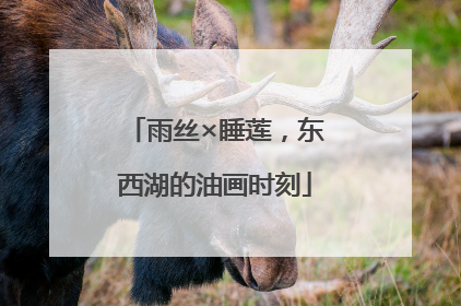 雨丝×睡莲，东西湖的油画时刻