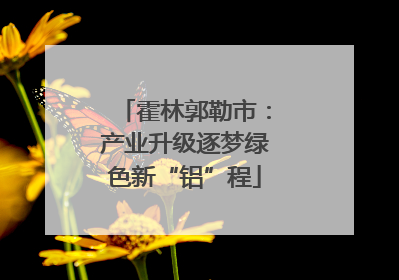 霍林郭勒市：产业升级逐梦绿色新“铝”程