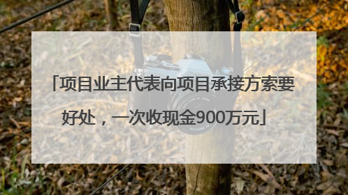 项目业主代表向项目承接方索要好处，一次收现金900万元