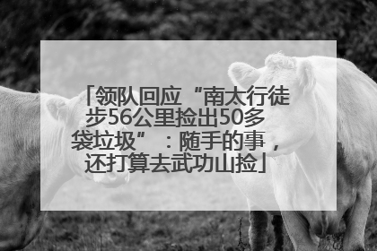 领队回应“南太行徒步56公里捡出50多袋垃圾”：随手的事，还打算去武功山捡