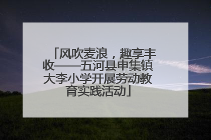 风吹麦浪，趣享丰收——五河县申集镇大李小学开展劳动教育实践活动