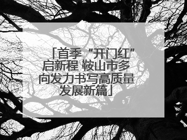 首季“开门红”启新程 鞍山市多向发力书写高质量发展新篇