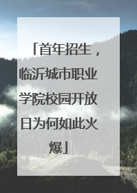 首年招生，临沂城市职业学院校园开放日为何如此火爆