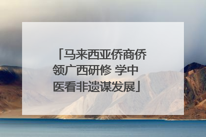 马来西亚侨商侨领广西研修 学中医看非遗谋发展