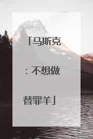 马斯克：不想做替罪羊
