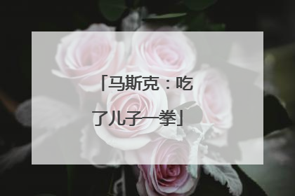 马斯克：吃了儿子一拳