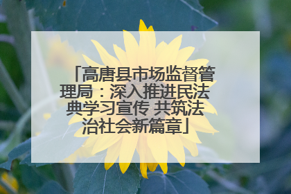 高唐县市场监督管理局：深入推进民法典学习宣传 共筑法治社会新篇章