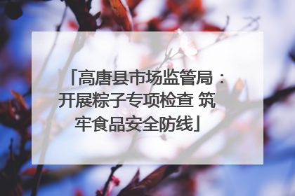 高唐县市场监管局：开展粽子专项检查 筑牢食品安全防线