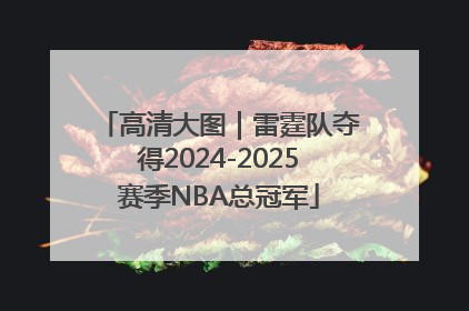 高清大图｜雷霆队夺得2024-2025赛季NBA总冠军