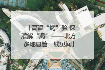 高温“烤”验 保灌解“渴”——北方多地夏管一线见闻