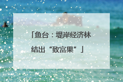 鱼台：堤岸经济林结出“致富果”