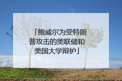 鲍威尔为受特朗普攻击的美联储和美国大学辩护