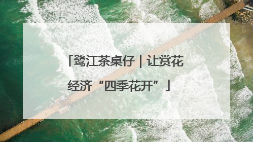 鹭江茶桌仔｜让赏花经济“四季花开”