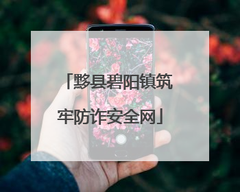 黟县碧阳镇筑牢防诈安全网