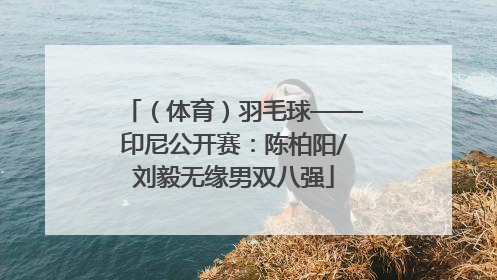 （体育）羽毛球——印尼公开赛：陈柏阳/刘毅无缘男双八强