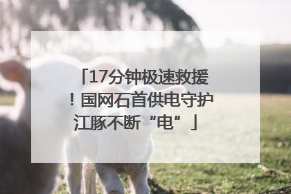 17分钟极速救援！国网石首供电守护江豚不断“电”