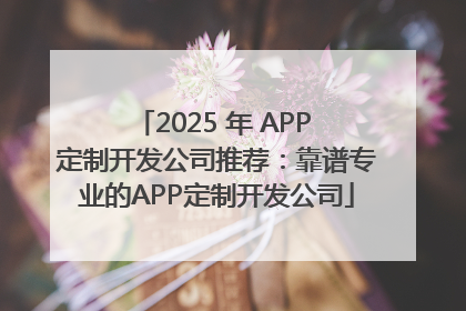 2025 年 APP 定制开发公司推荐：靠谱专业的APP定制开发公司
