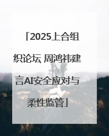 2025上合组织论坛 周鸿祎建言AI安全应对与柔性监管
