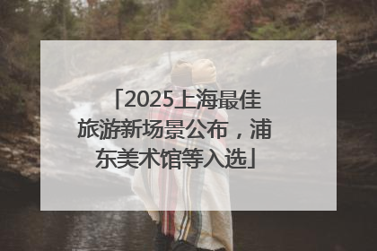 2025上海最佳旅游新场景公布，浦东美术馆等入选