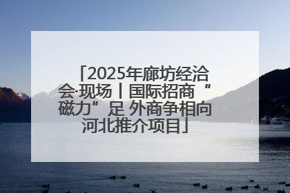 2025年廊坊经洽会·现场丨国际招商“磁力”足 外商争相向河北推介项目