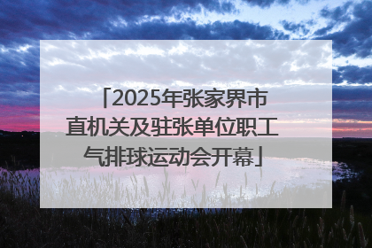 2025年张家界市直机关及驻张单位职工气排球运动会开幕
