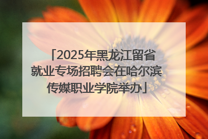 2025年黑龙江留省就业专场招聘会在哈尔滨传媒职业学院举办