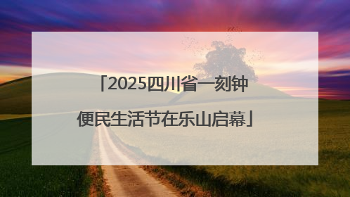 2025四川省一刻钟便民生活节在乐山启幕